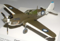 Leigh's P-40N